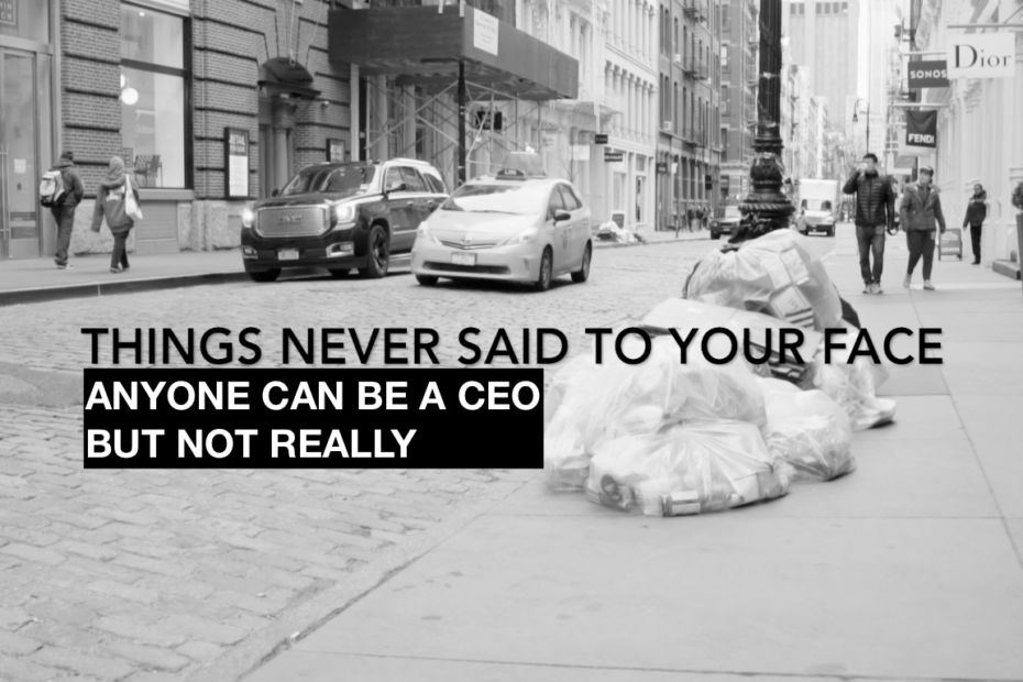 anyone can be a ceo but not really